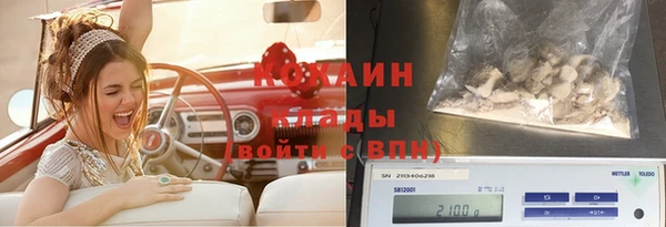 прущие крисы Алексин